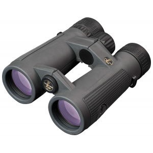 Leupold BX-5 Santiam HD 10x42mm Binocular, Shadow Gray - 174483