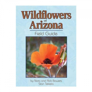 Wildflowers of Arizona