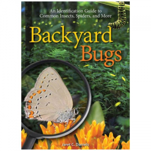 Backyard Bugs: An Identification To Common Insects, Spiders And More