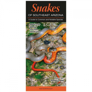Snakes of Southeast Arizona
