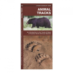 Animal Tracks: An Introduction to the Tracks & Signs of Familiar North American Species