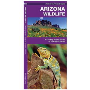 Arizona Wildlife: A Folding Pocket Guide To Familiar Species