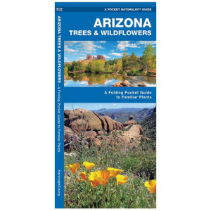 Arizona Trees & Wildflowers: A Folding Pocket Guide To Familiar Species
