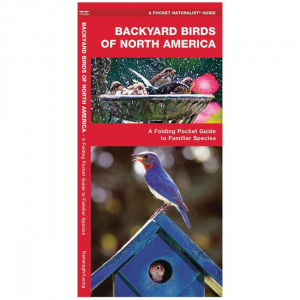 Backyard Birds Of North America: A Folding Pocket Guide To Familiar Species