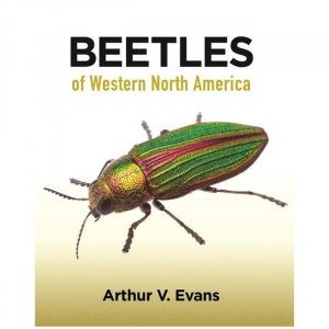 Beetles Of Western North America