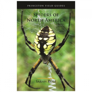 Spiders Of North America