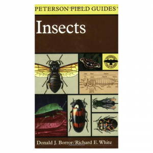 Field Guide To Insects