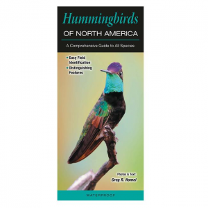 Hummingbirds of North America