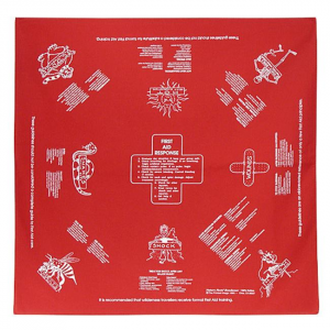 Outdoor Novelty Bandanas