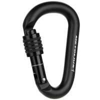 Element Locking Carabiner