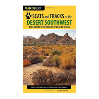 Scats and Tracks of the Desert Southwest