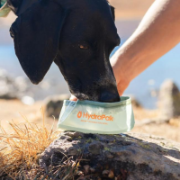 Rover Dog Bowl