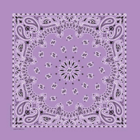 Traditional Paisley Bandanas