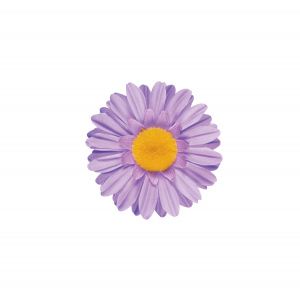 Electra Daisy Handlebar Flower