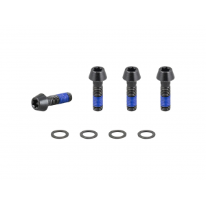 Trek 2021 E-Caliber 29 Chainstay Bridge M6x1x20mm Bolts