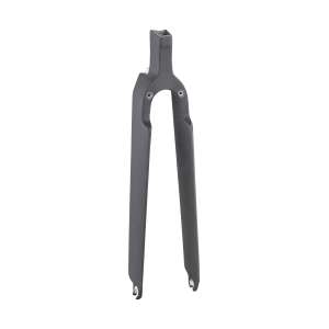 Trek 2020 Speed Concept 700c Rigid Forks