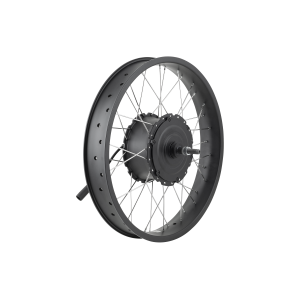 Electra Ponto Go! 20 Wheel