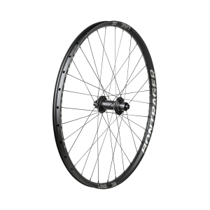 Bontrager Line DH 30 TLR 29 MTB Wheel