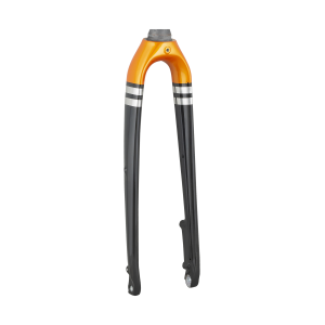 Trek 2021 Checkpoint SL 700c Rigid Forks