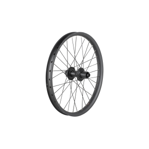 Trek Cargo Bike 6-Bolt Disc 20 Wheel