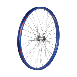 Electra Townie Go! 8i Centerlock Disc 26 Wheel