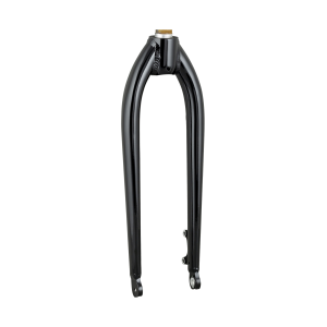 Trek Roscoe 24 Rigid Fork