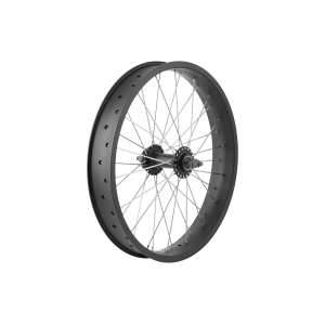 Electra Ponto Go! 20 Wheel