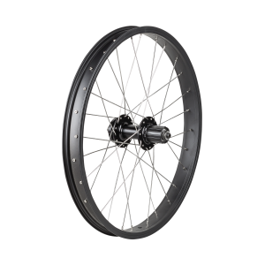 Trek Roscoe Boost 20 MTB Wheel