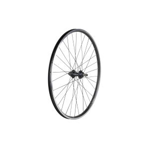 Electra 2021 Townie 7D 26 Wheels