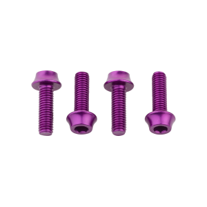Wolf Tooth Water Bottle Cage Bolts