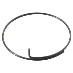 Bontrager DT Swiss Onyx Pawl Spring