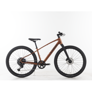 Trek Dual Sport 3 Gen 5 - 2025, Small - $899.99 at Trek Bicycle