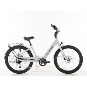 Townie Go! - 2027, Medium/Large