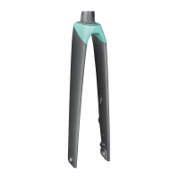 Trek Madone SLR Women's 700c Disc Rigid Fork