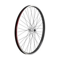 Electra 2021 Townie Go! 5i 26 Wheels