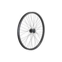 Electra Townie Go! 35mm Wide Rim 7D 26 Wheel