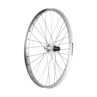 Electra Townie Path 9D EQ Centerlock Disc 27.5 Wheel
