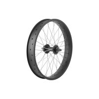 Electra Ponto Go! 20 Wheel