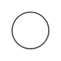 Bontrager Line TLR 30 29 Rim