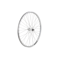 Electra Townie 1 Rental 26 Wheel