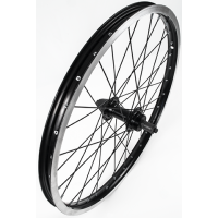 Trek Kids' Quick Release 20 Wheel