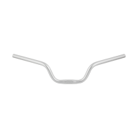 Electra Townie Sandblasted Handlebar