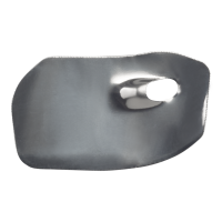 Trek 2016 Top Fuel 29 Carbon Chainstay Strike Guard