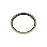 Bontrager DT240 Race X Lite Freehub Seal