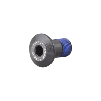 Trek M10x1mm Full Suspension Rocker Pivot Bolt