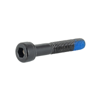 Trek M8x1.25 Socket Head Cap Screw