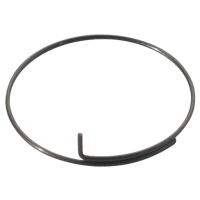 Bontrager DT Swiss Onyx Pawl Spring