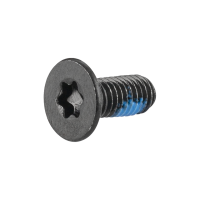 Trek Hex Screw with Thread Locker