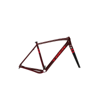 Checkpoint ALR Gen 2 Frameset