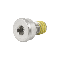 Trek Domane+ SLR Motor Cover Bolt